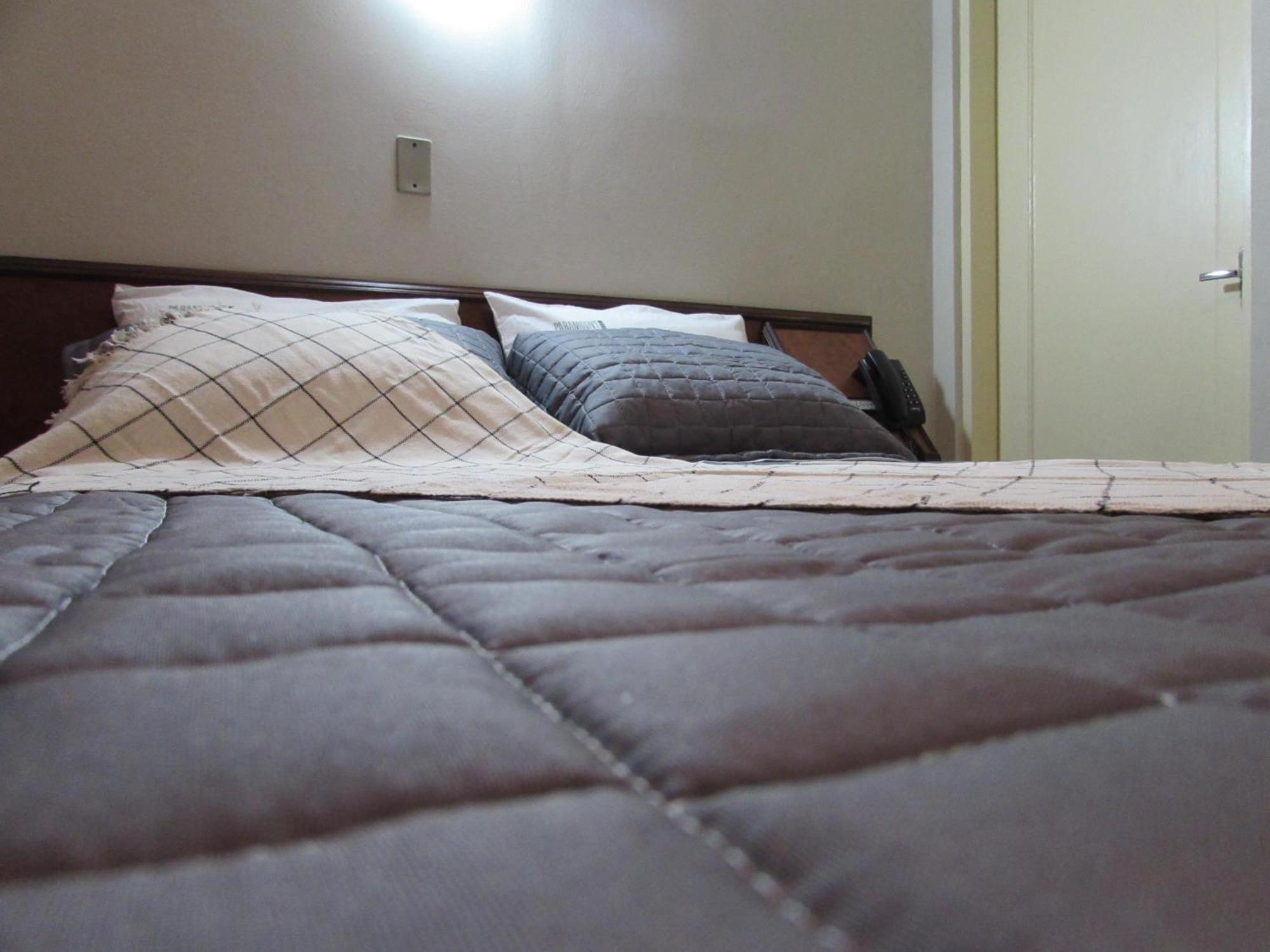 Hotel Paramount- Proximo A 25 De Marco Bras Bom Retiro E Expo Center Norte "Garanta Ja Sua Reserva" サンパウロ エクステリア 写真
